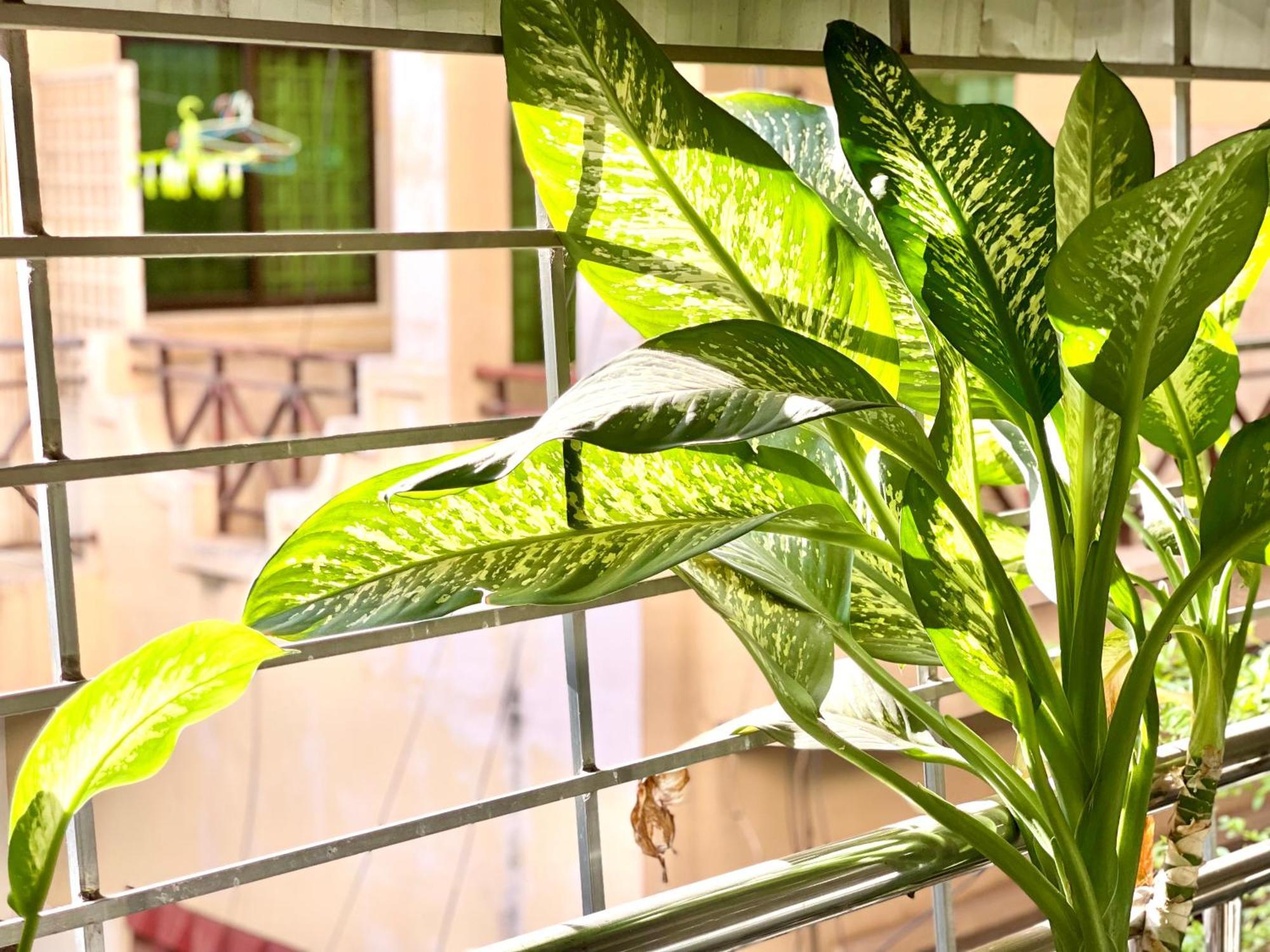 Sky Hotel Central Phnom Penh - Rooms & Apartments Exterior foto